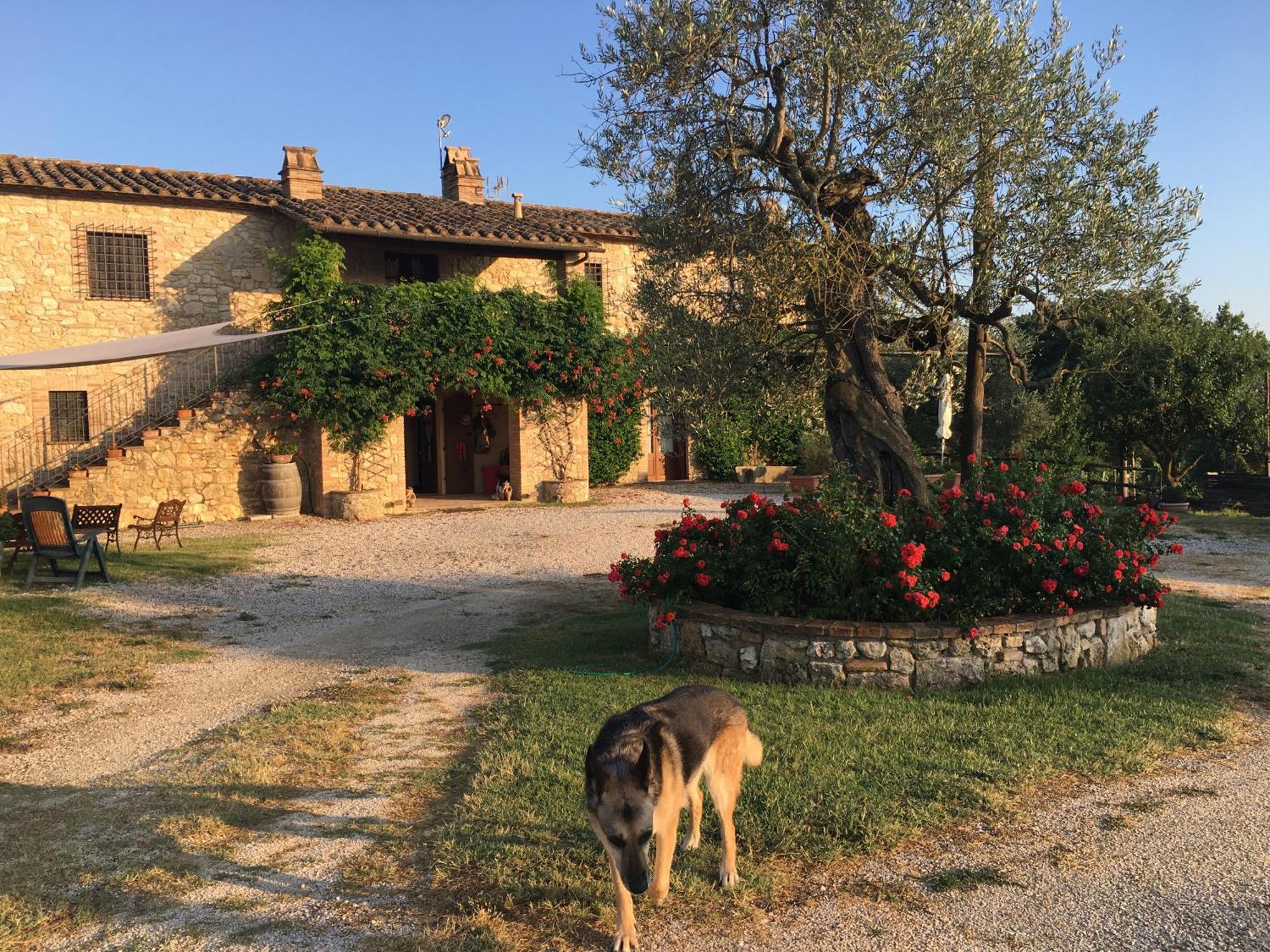Agriturismo Podere Dell' Olmo Амелиа Экстерьер фото