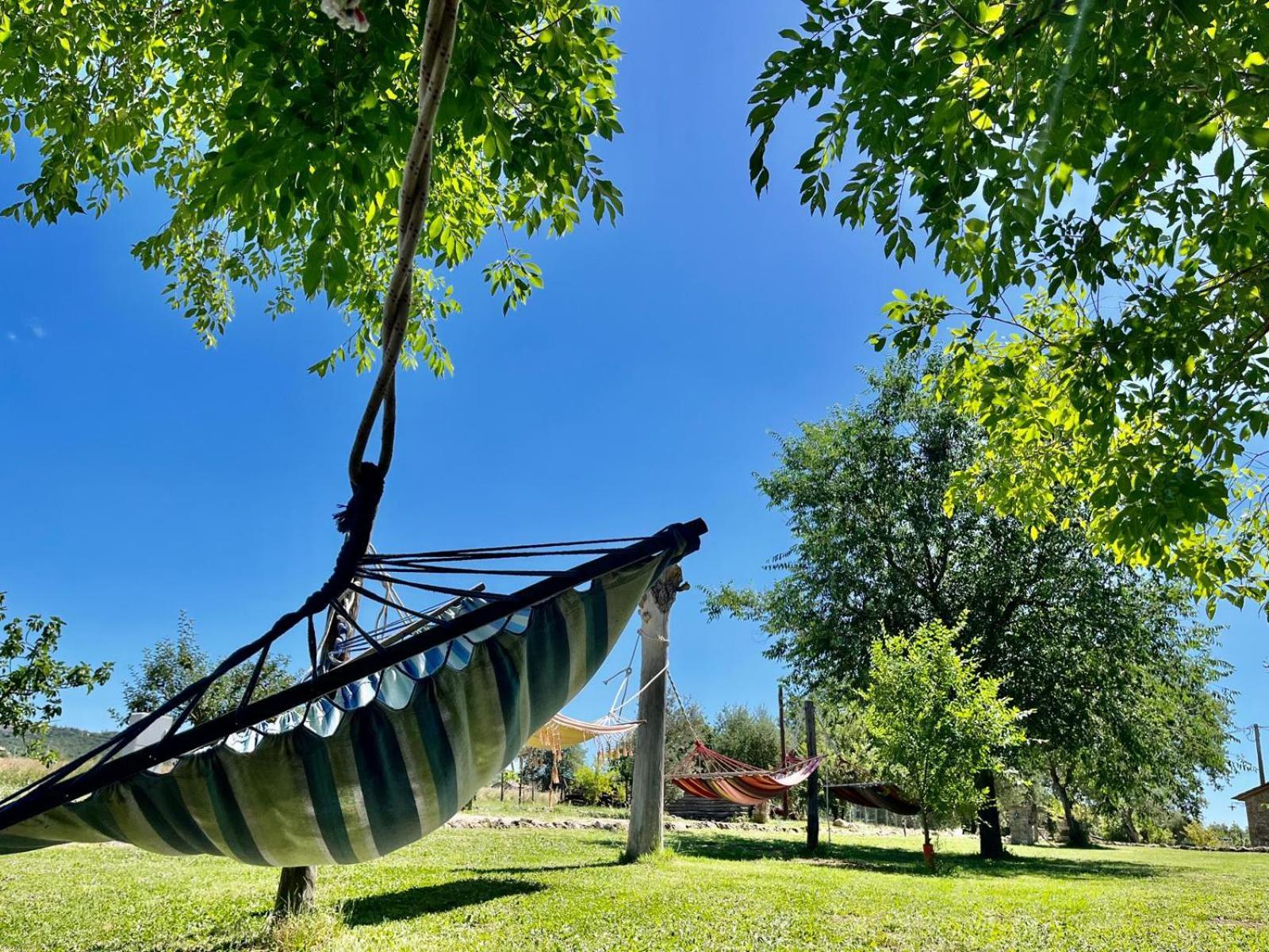 Agriturismo Podere Dell' Olmo Амелиа Экстерьер фото
