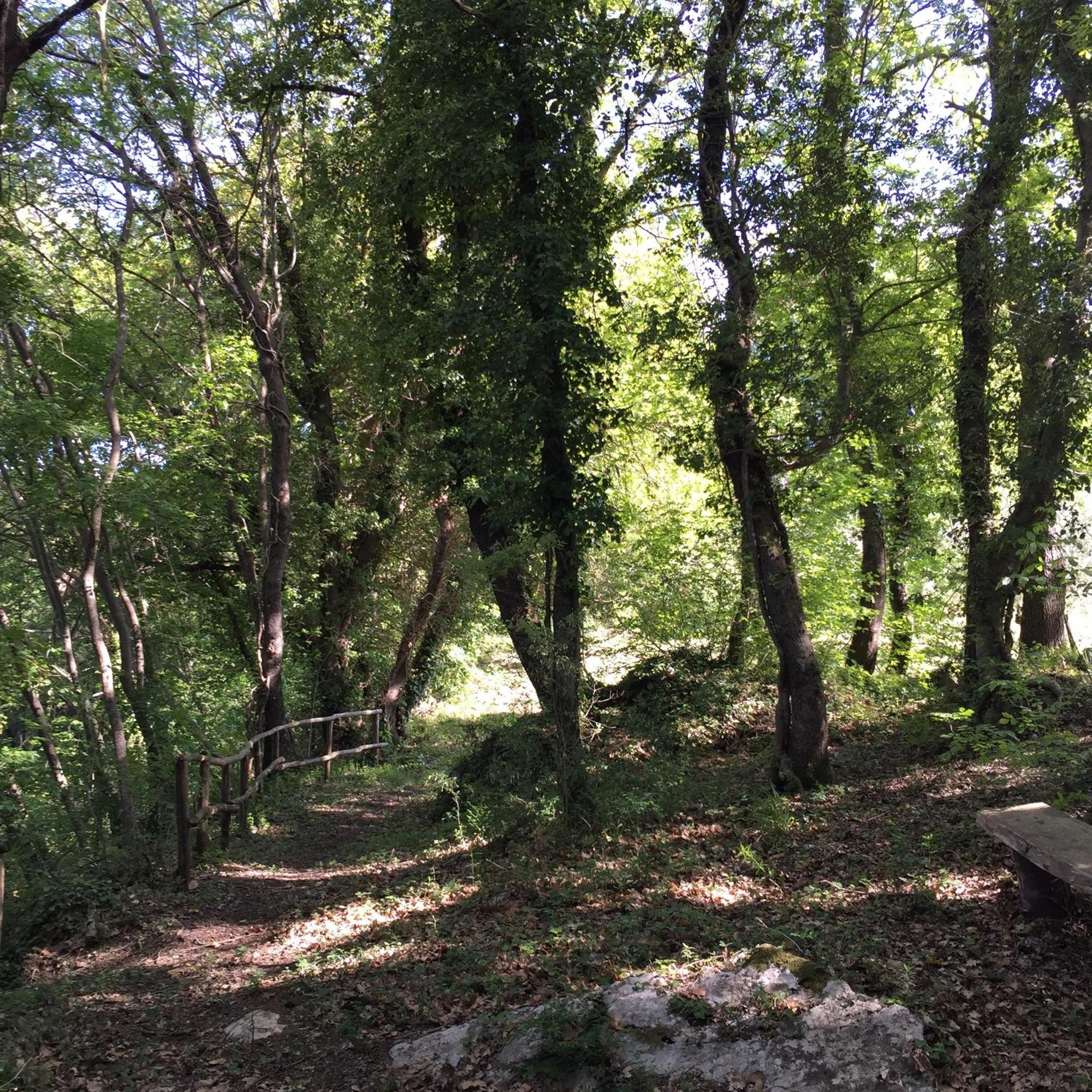 Agriturismo Podere Dell' Olmo Амелиа Экстерьер фото