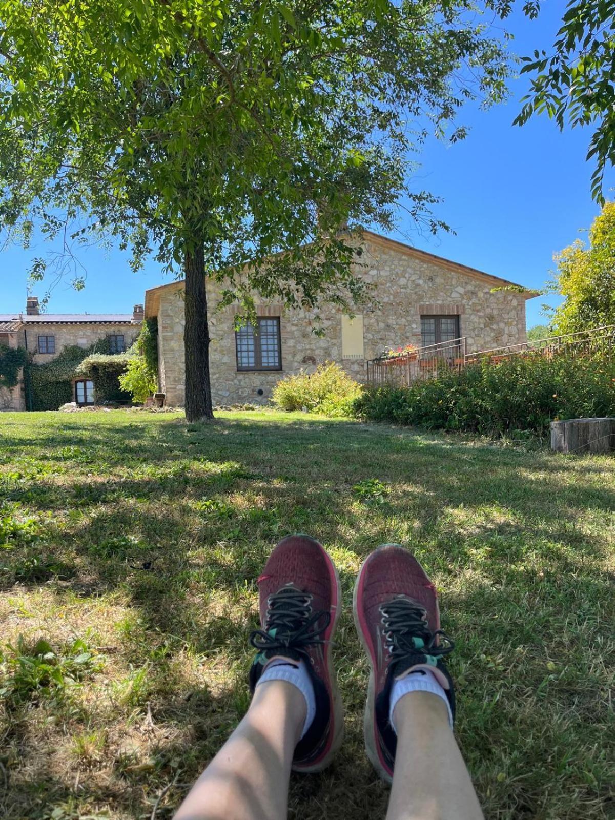 Agriturismo Podere Dell' Olmo Амелиа Экстерьер фото