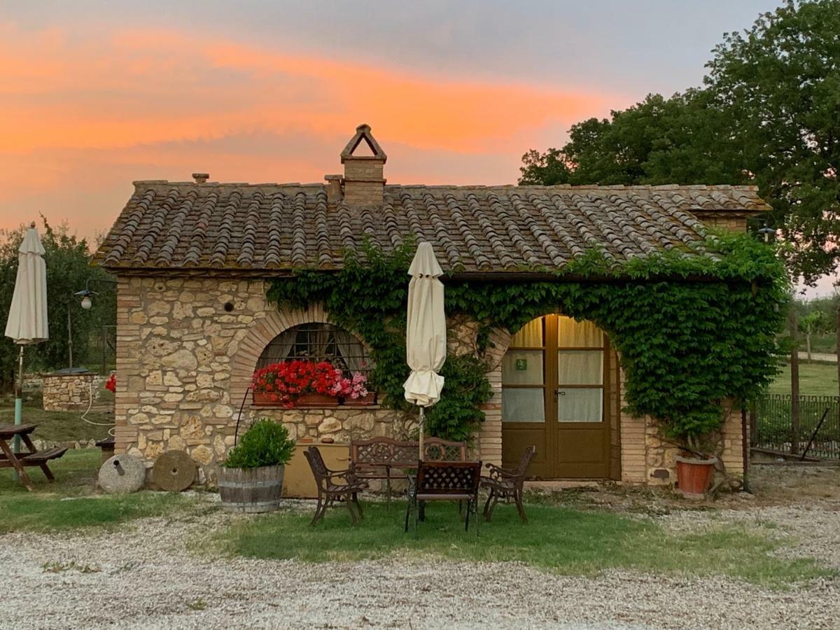 Agriturismo Podere Dell' Olmo Амелиа Экстерьер фото